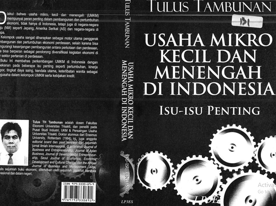 USAHA MIKRO KECIL DAN MENENGAH DI INDONESIA
